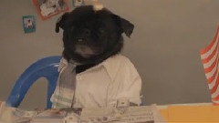 Bone Pugz N Harmony