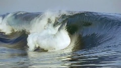 Best Of BBC Planet Earth