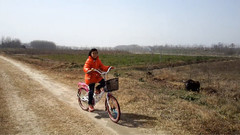少年