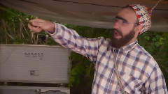 La Bebedeira