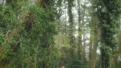 梦醒时分
