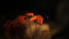 Knowing