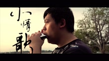 小情歌 Cover