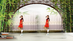 我想去印度