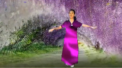 紫藤花