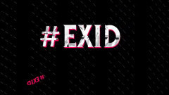 1ST EXID FANCLUB 'LEGGO PARTY'