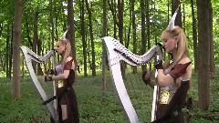 Elwynn Forest