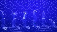 女子群舞