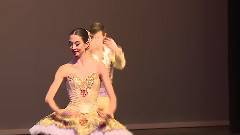 Don Quixote Act 3