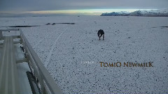 Stellar Tombs