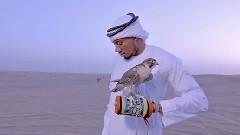 ARAB MONEY