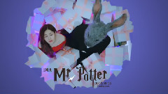 Mr. Potter - YEBIN 预告版