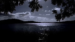 绿袖子(口哨)