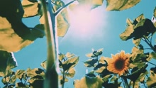  - Only U Teaser