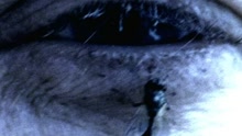 Disenchanted
