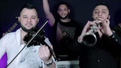 Fratii Turcitu