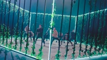  - Gorilla Teaser