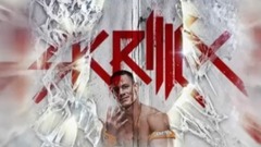 The John Cena Remix
