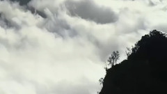 人生待续