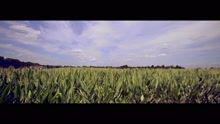 Southern Skies (Video)