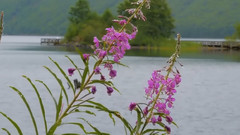 雨的节奏