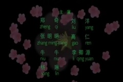 影视原声 - 电视剧<梅花档案2>片头曲
