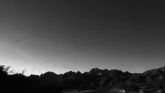 Homeward