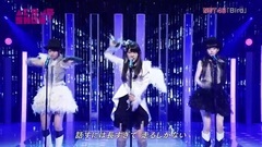 Bird @ AKB48 SHOW!161119