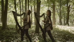 THE BARD'S SONG