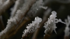 瑞雪诗篇