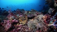 ocean scenes