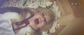 Pushing Daisies
