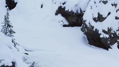 冬雪中的脉动