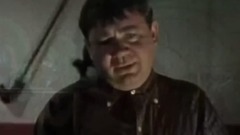Форсаж 7