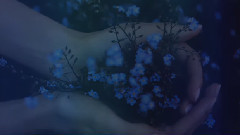 Infinie Tendresse