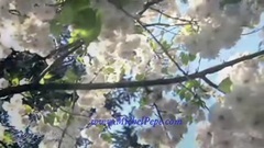 Ciel Radieux