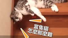  - 废喵啊~ 《没有设么能让我起床》