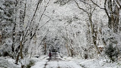 日本户隐奥社神社雪景