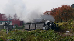 日本长野县饭山市田野旁的蒸汽火车