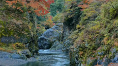 日本奥多摩鸠之巢溪谷红叶美景