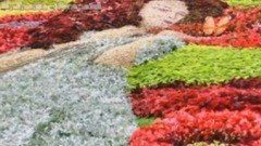 The Garden
