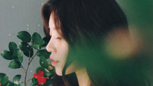  - Knock Knock Knock