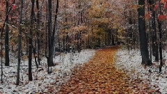 When Winter Comes