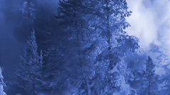 Winter Waltz