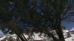 相见