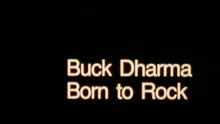 Born To Rock