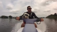 Extreme Pets!