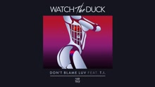 WatchTheDuck - Don't Blame Luv (Visualizer)