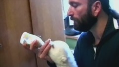 Knut Geht's Gut