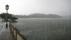 听雨的声音 雨滴